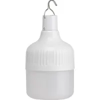 Brunner Outdoor Globe