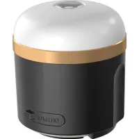 EcoFlow 600545