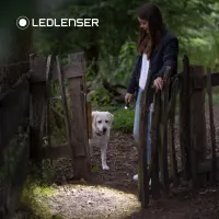 Ledlenser C5R Classic